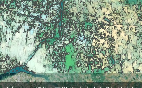 风水中的水指什么意思(风水中的土指的是什么)