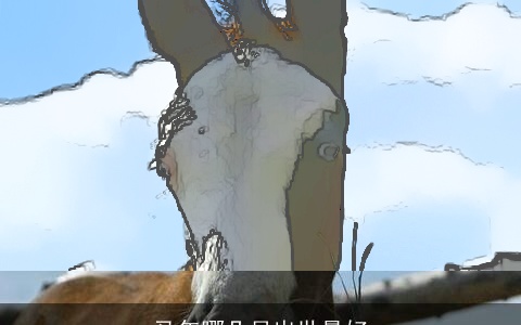 马年哪几月出世最好