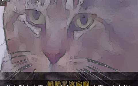 什么叫上山下水之局(为什么上山下水主大凶)