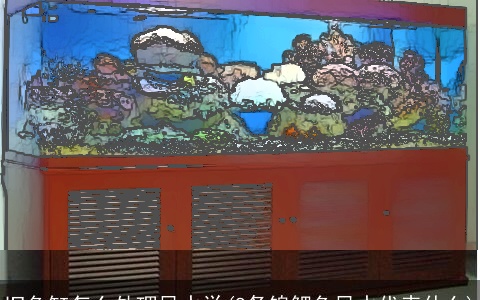 旧鱼缸怎么处理风水学(8条锦鲤鱼风水代表什么)