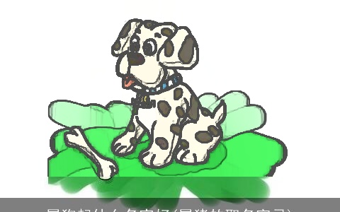 属狗起什么名字好(属猪的取名宜忌)