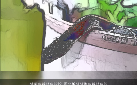 梦见各种颜色的蛇_周公解梦梦到各种颜色的蛇是什么意思_做梦梦见各种颜色的蛇好不好