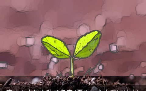 带木土水的女孩子名字(夏季土命人五行缺水)