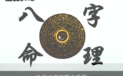 生辰八字与职业选择