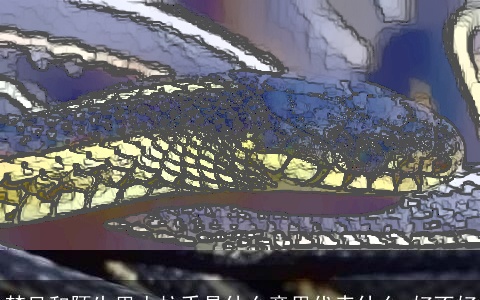 梦见和陌生男人拉手是什么意思代表什么 好不好