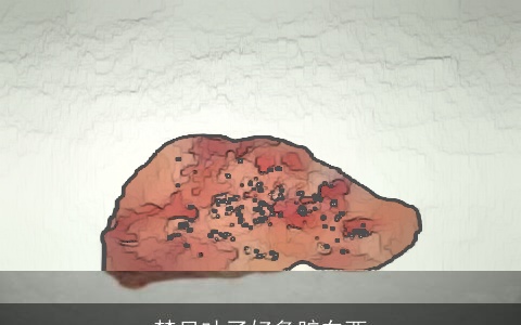 梦见吐了好多脏东西