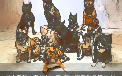 风水养狗的有什么讲究(狗的寓意和象征风水)