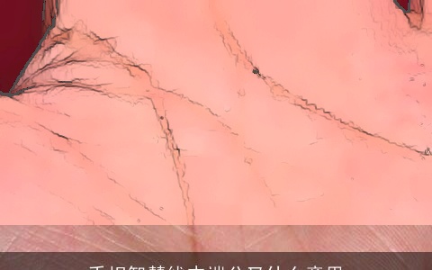 手相智慧线末端分叉什么意思