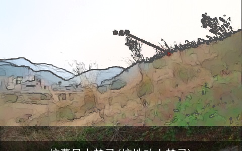 坟墓风水禁忌(坟地动土禁忌)