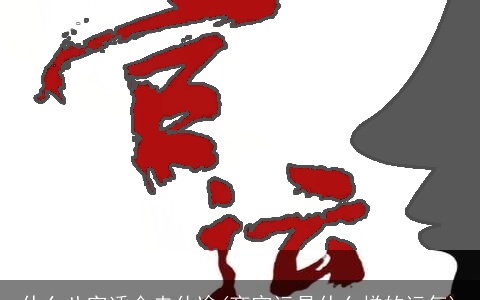 什么八字适合走仕途(商官运是什么样的运气)