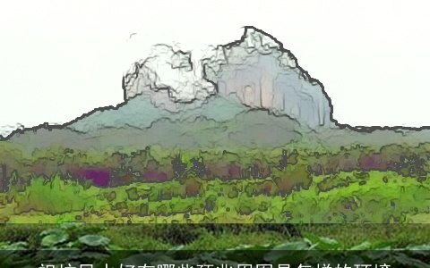 祖坟风水好有哪些预兆周围是怎样的环境