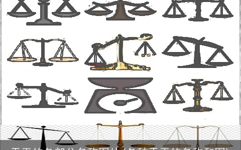 天平的各部分名称图片(各种天平的名称和图)