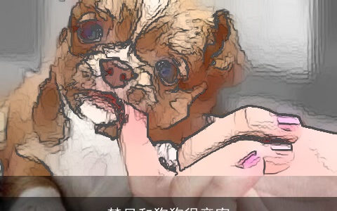 梦见和狗狗很亲密