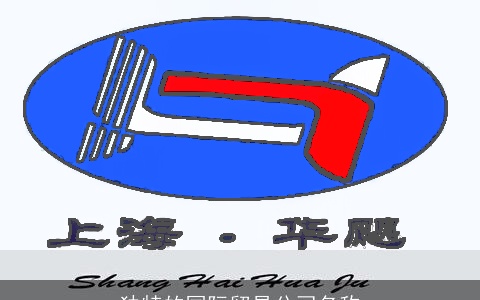 独特的国际贸易公司名称