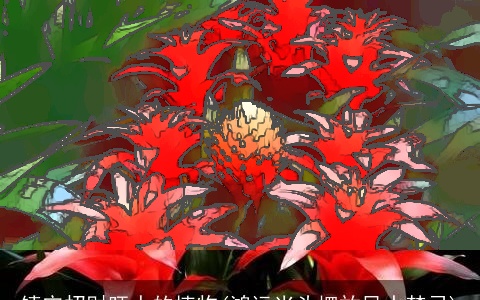 镇宅招财旺人的植物(鸿运当头摆放风水禁忌)