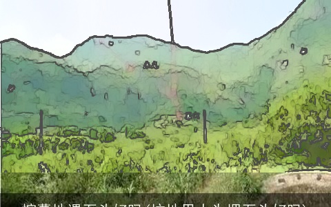 挖墓地遇石头好吗(坟地里人为埋石头好吗)