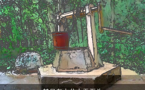 梦见向水井中丟石头