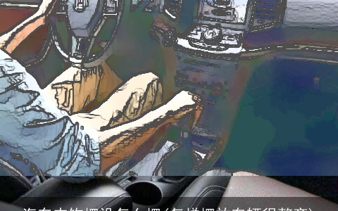 汽车内饰摆设怎么摆(怎样摆放车辆很整齐)