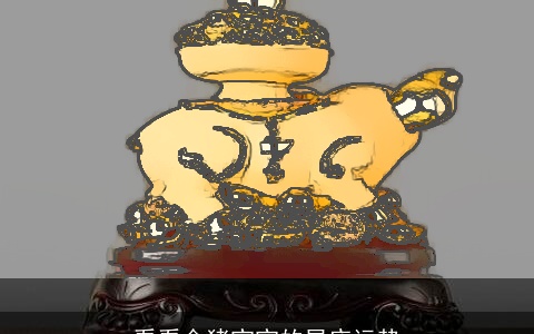 看看金猪宝宝的星座运势