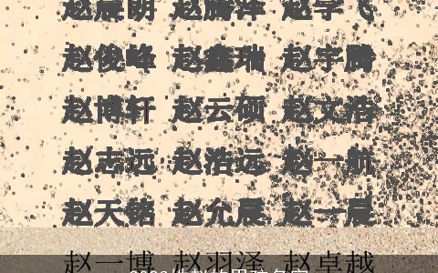 2023姓赵的男孩名字