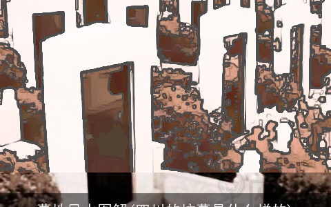 墓地风水图解(四川的坟墓是什么样的)