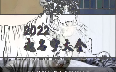 冉姓男孩姓名大全2022属虎