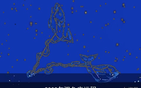 2008年双鱼座运程