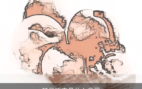 梦见吃杏是什么意思