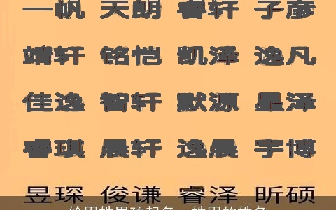 给甲姓男孩起名，姓甲的姓名