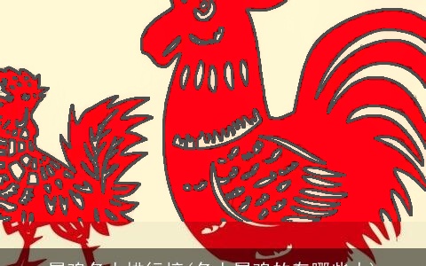 属鸡名人排行榜(名人属鸡的有哪些人)