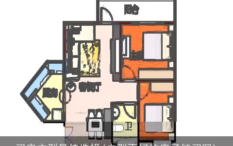 买房户型最佳选择(户型不好的房子能买吗)