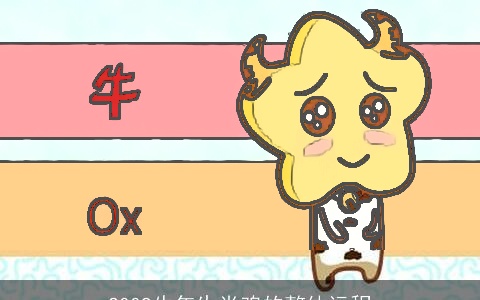 2009牛年生肖鸡的整体运程