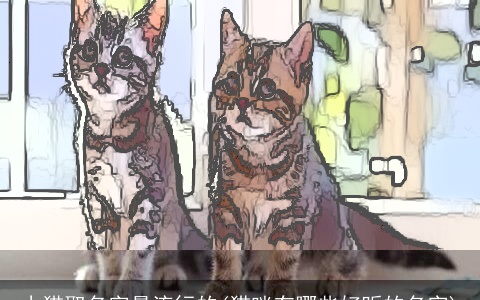 小猫取名字最流行的(猫咪有哪些好听的名字)