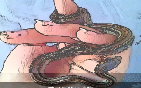 梦见后背被蛇咬