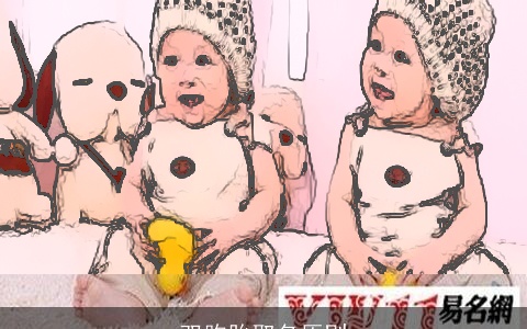 双胞胎取名原则