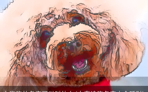 女狗狗的名字可以叫什么(女泰迪狗名字大全旺财)