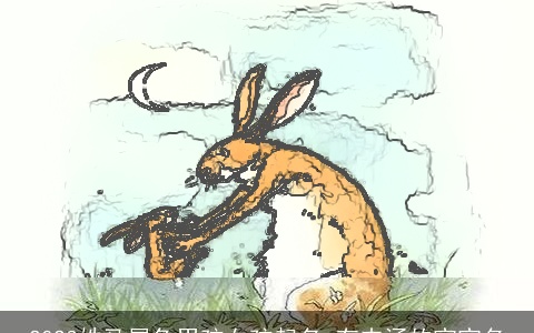 2023姓马属兔男孩女孩起名 有内涵的宝宝名