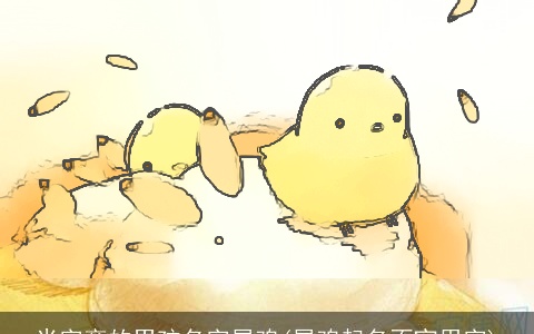 米字旁的男孩名字属鸡(属鸡起名不宜用字)