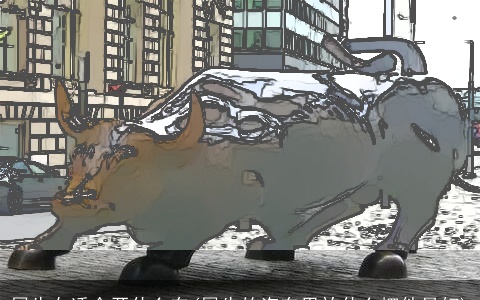 属牛女适合开什么车(属牛的汽车里放什么摆件最好)