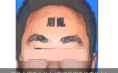 相学中眉毛主什么(面相学眉毛代表什么)