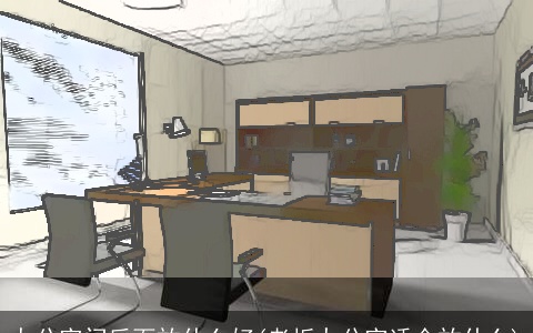 办公室门后面放什么好(老板办公室适合放什么)