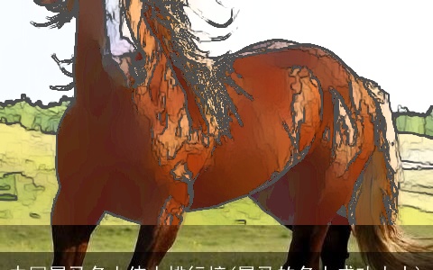 中国属马名人伟人排行榜(属马的名人成功人士)