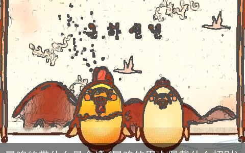 属鸡的带什么最合适(属鸡的男人佩戴什么招财)