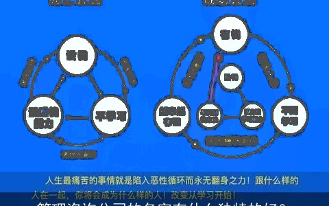 管理咨询公司的名字有什么独特的好？