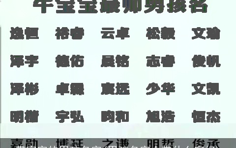 带家字的男孩名字(男孩名字中带什么字好)