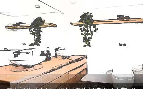 卫生间放什么风水摆件(卫生间植物风水禁忌)