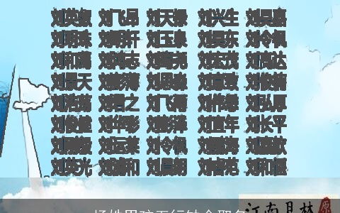 杨姓男孩五行缺金取名