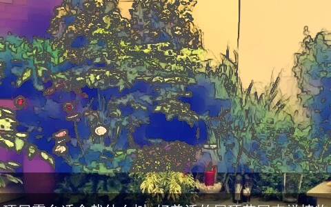 顶层露台适合栽什么树 好养活的屋顶花园吉祥植物