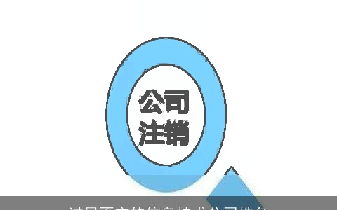 过目不忘的信息技术公司姓名