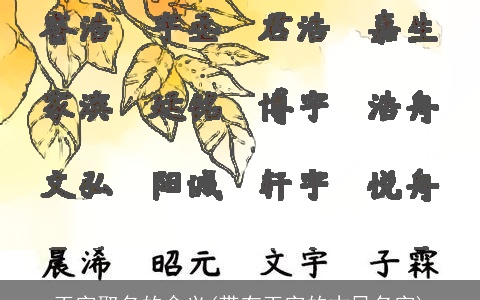 玉字取名的含义(带有玉字的古风名字)